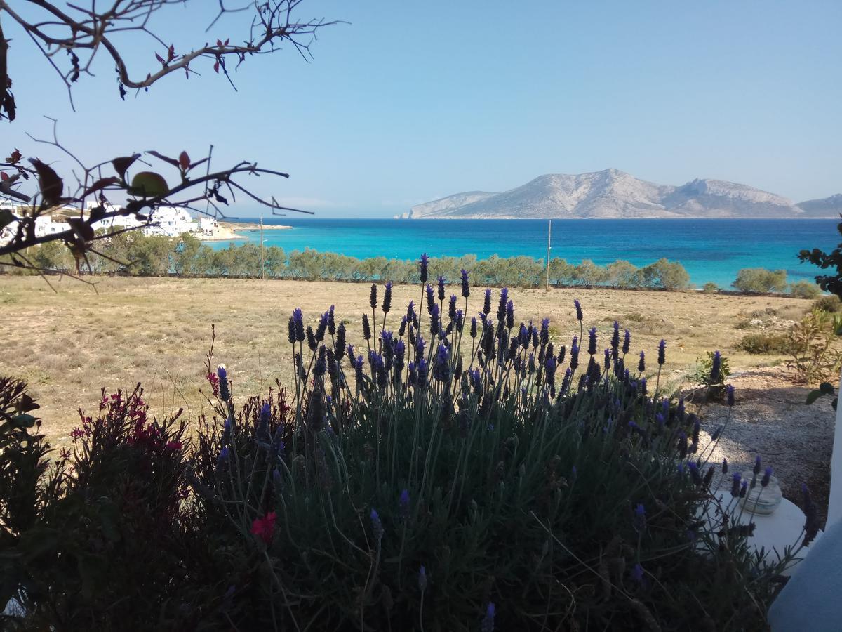 Ammos Studio Koufonisia Dış mekan fotoğraf